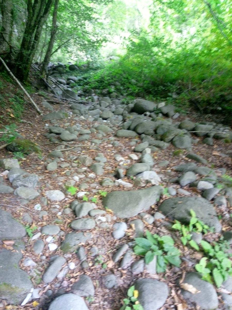 Palleggio Cocciglia risalita torrente Scesta - foto 13