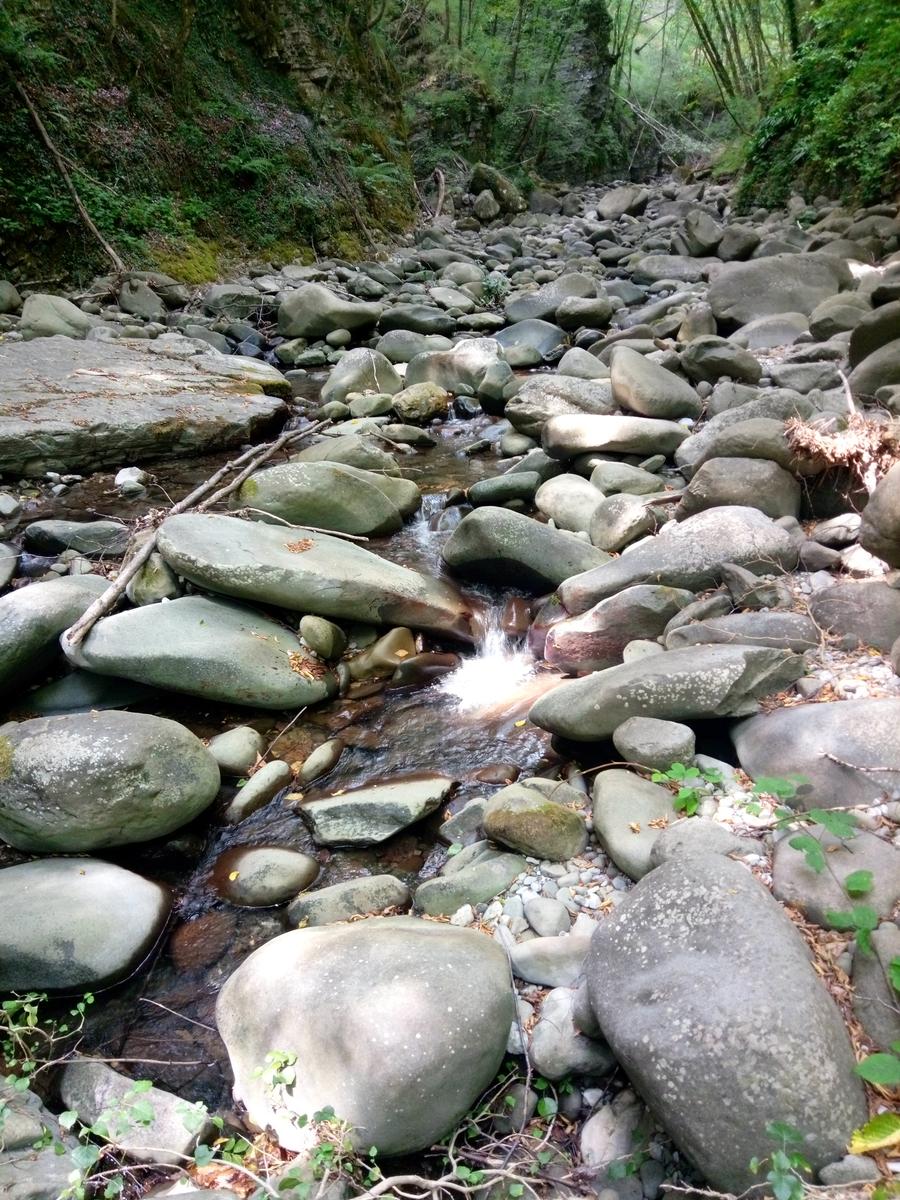 Palleggio Cocciglia risalita torrente Scesta - foto 14