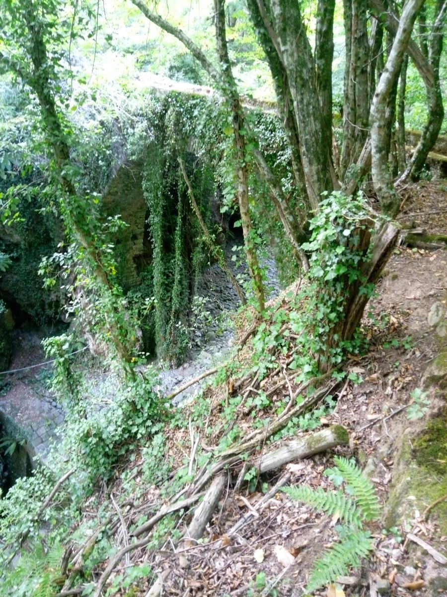 Palleggio Cocciglia risalita torrente Scesta - foto 18