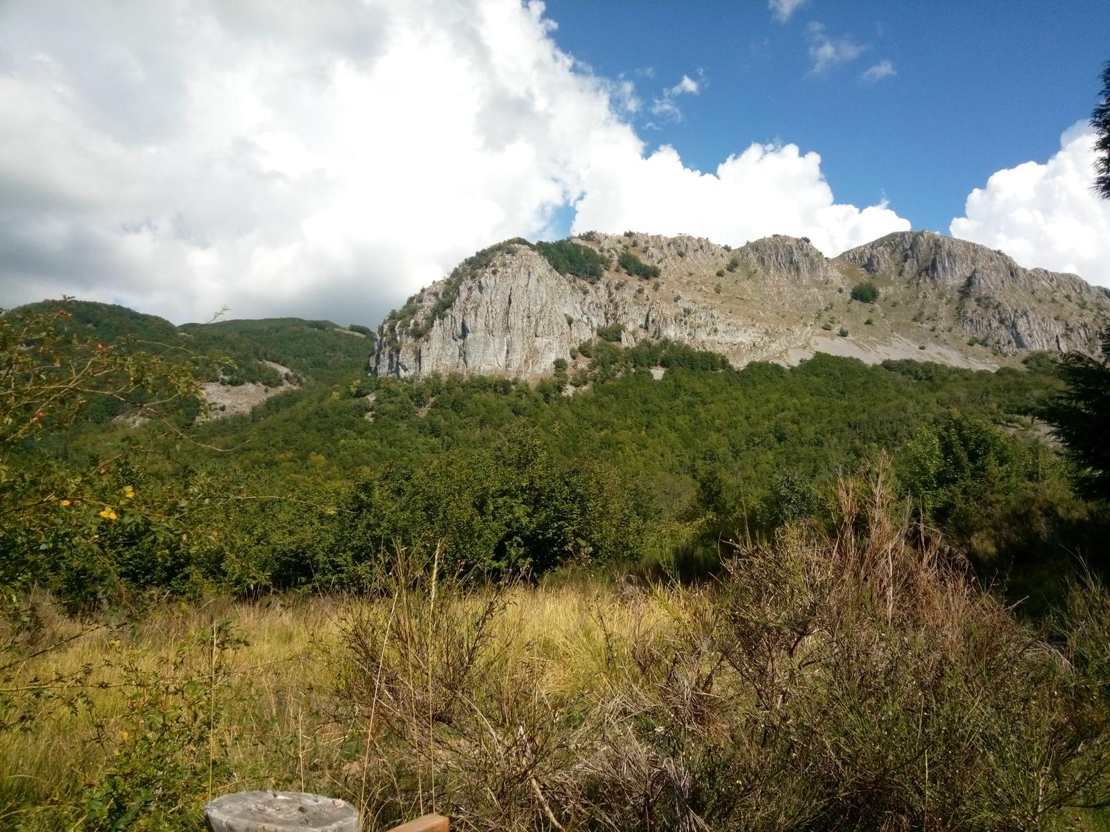 Orechiella Sulcina - foto 7