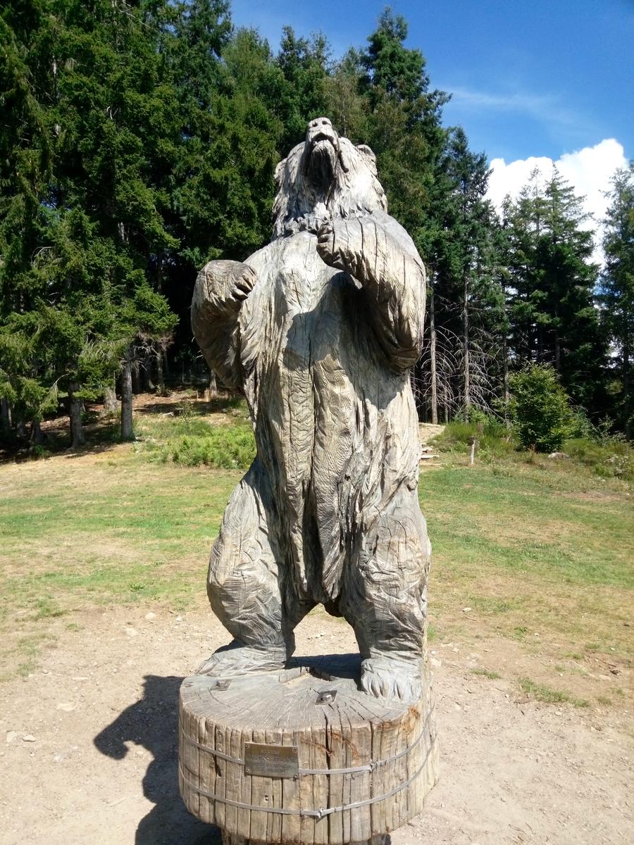 Orechiella Sulcina - foto 8