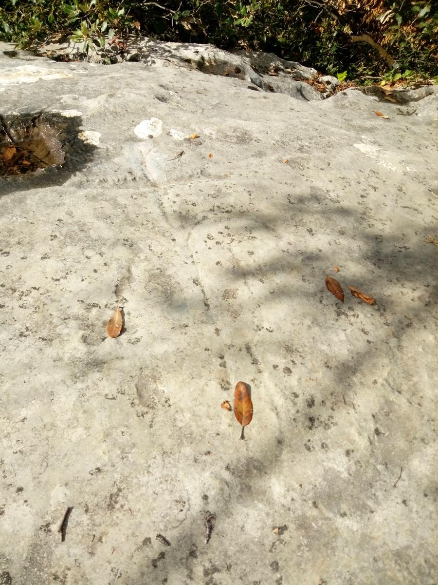 La Culla -Monte Gabberi - Monte Lieto - Sant'Anna di Stazzema - Con Friends In trekking