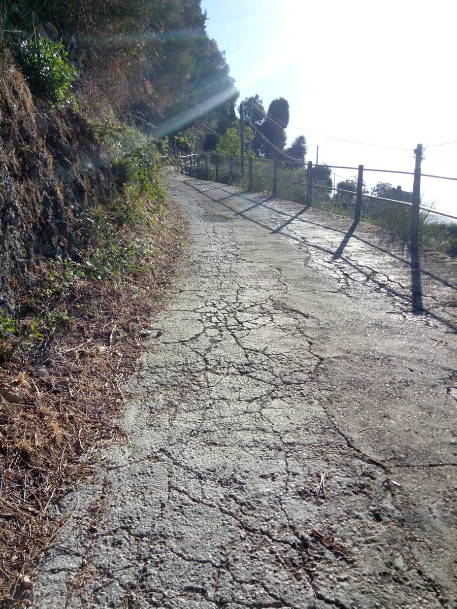 La Culla -Monte Gabberi - Monte Lieto - Sant'Anna di Stazzema - Con Friends In trekking - foto 5