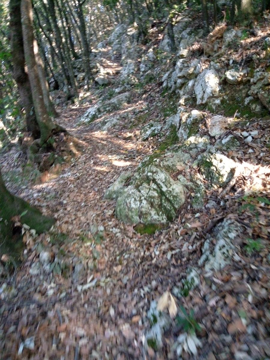 La Culla -Monte Gabberi - Monte Lieto - Sant'Anna di Stazzema - Con Friends In trekking - foto 6