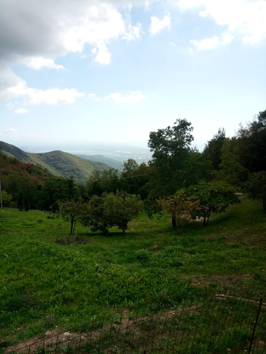 La Culla -Monte Gabberi - Monte Lieto - Sant'Anna di Stazzema - Con Friends In trekking - foto 12
