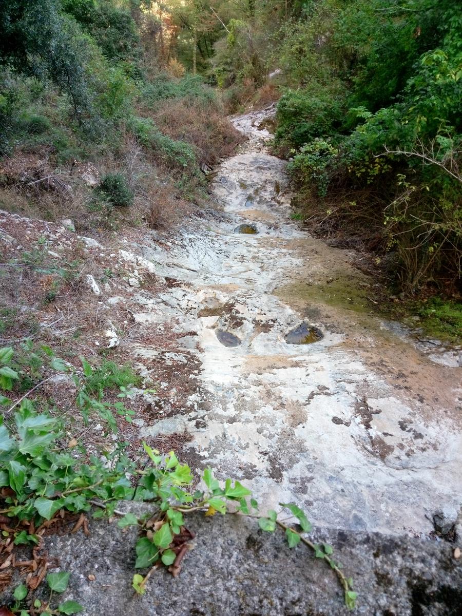 La Culla -Monte Gabberi - Monte Lieto - Sant'Anna di Stazzema - Con Friends In trekking - foto 13