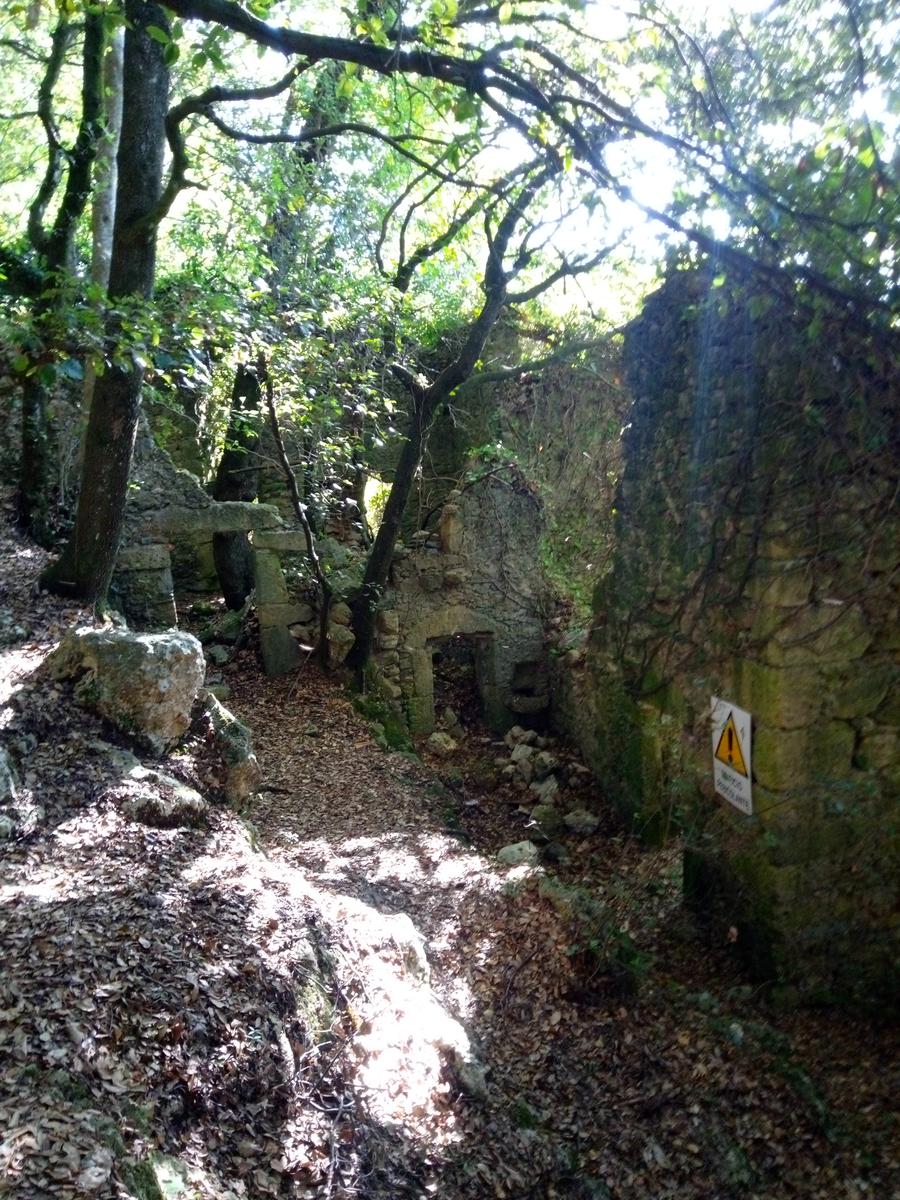 La Culla -Monte Gabberi - Monte Lieto - Sant'Anna di Stazzema - Con Friends In trekking - foto 16
