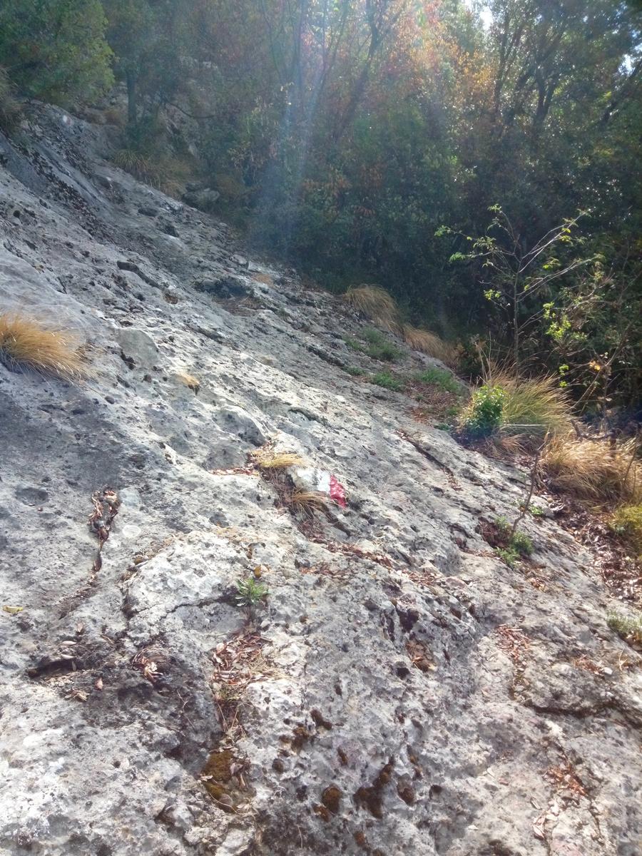 La Culla -Monte Gabberi - Monte Lieto - Sant'Anna di Stazzema - Con Friends In trekking - foto 17