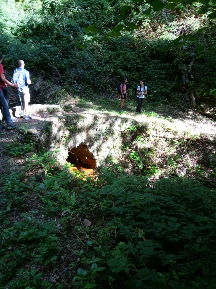 La Culla -Monte Gabberi - Monte Lieto - Sant'Anna di Stazzema - Con Friends In trekking - foto 24