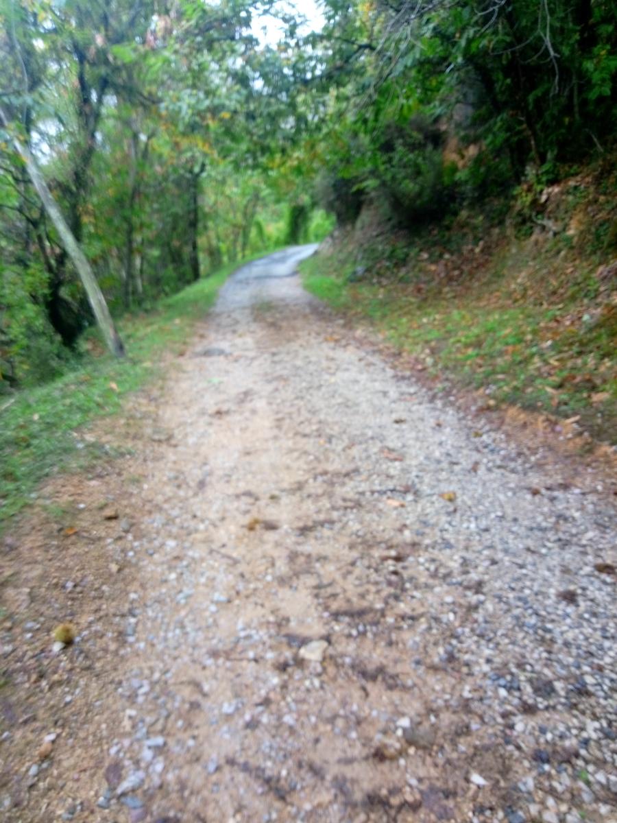Passo del Lucese - Rifugio La Casa del Maestro - Baita Verde - Baita Barsi - foto 2