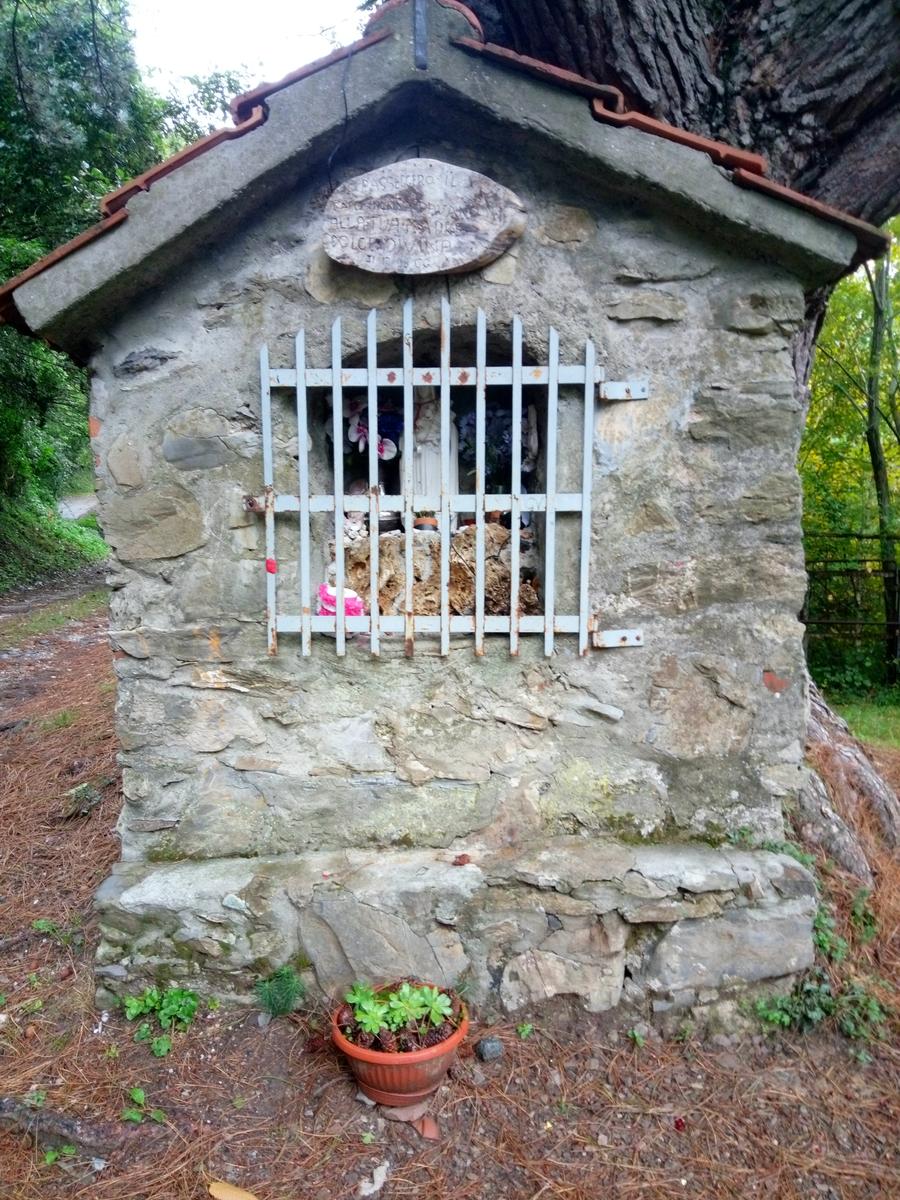 Passo del Lucese - Rifugio La Casa del Maestro - Baita Verde - Baita Barsi - foto 3