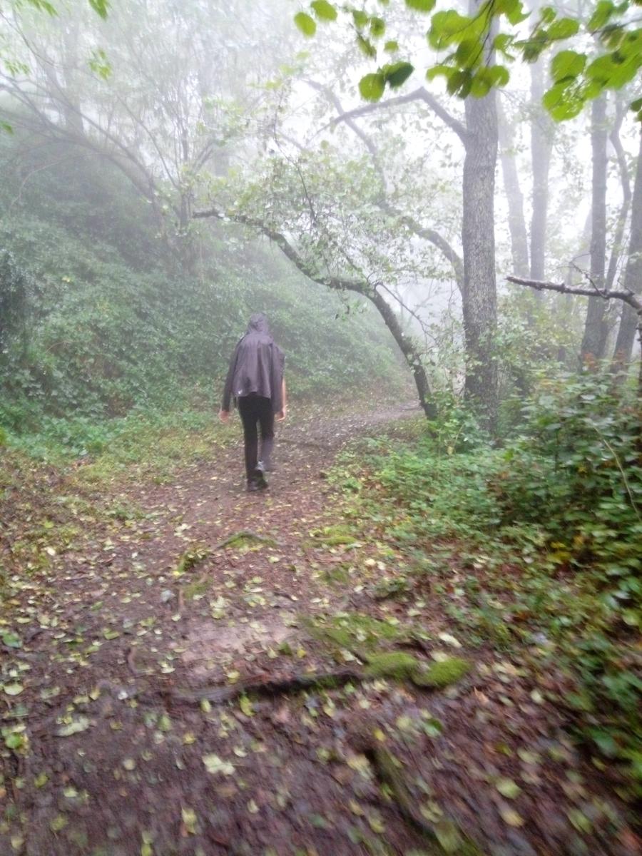 Passo del Lucese - Rifugio La Casa del Maestro - Baita Verde - Baita Barsi - foto 4