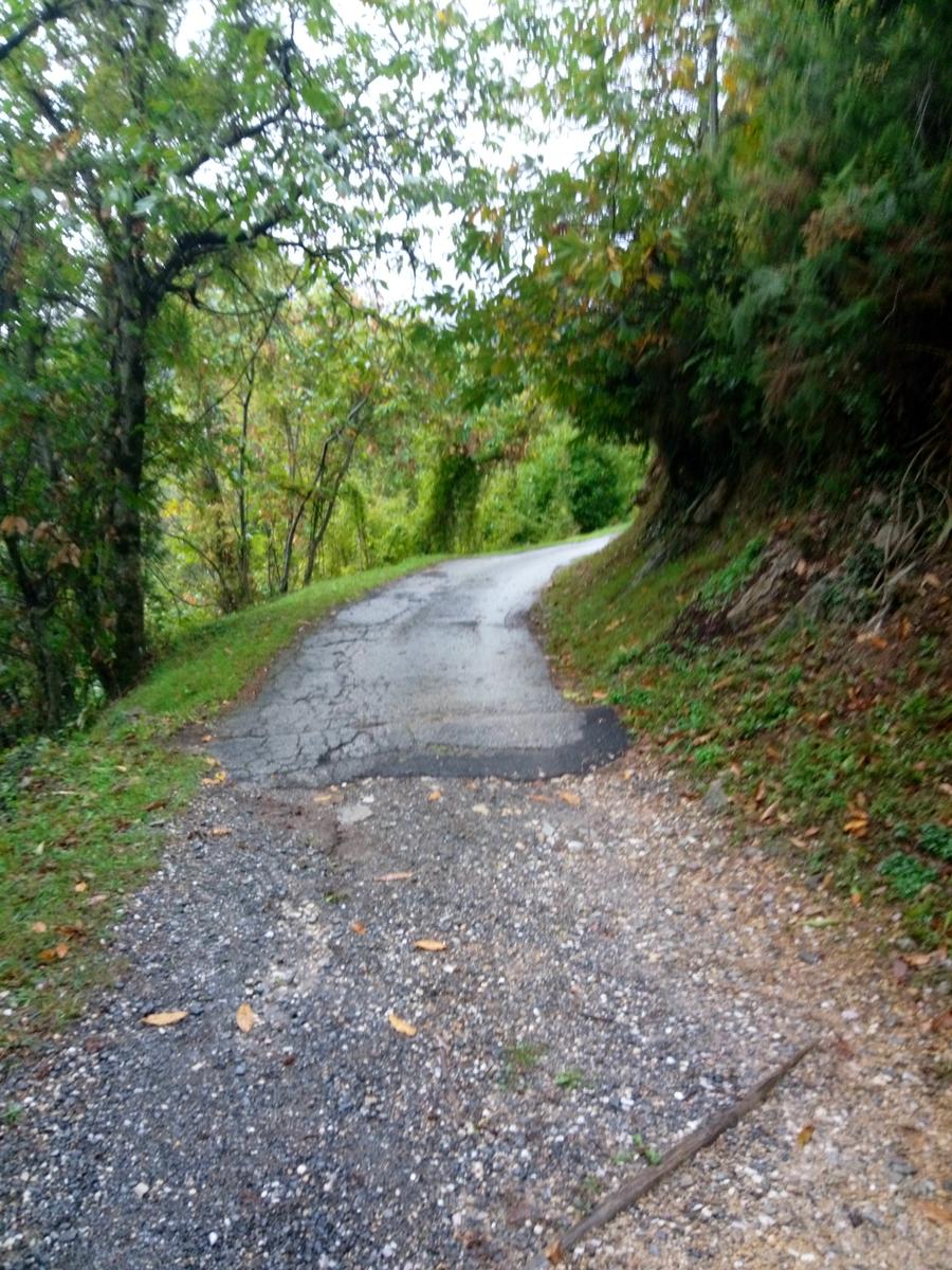 Passo del Lucese - Rifugio La Casa del Maestro - Baita Verde - Baita Barsi - foto 6