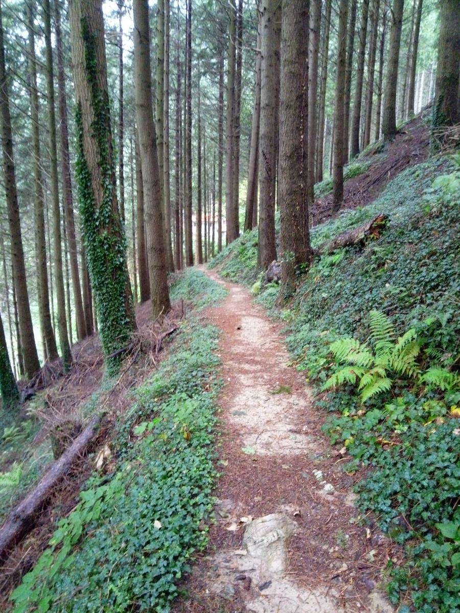 Passo del Lucese - Rifugio La Casa del Maestro - Baita Verde - Baita Barsi - foto 7