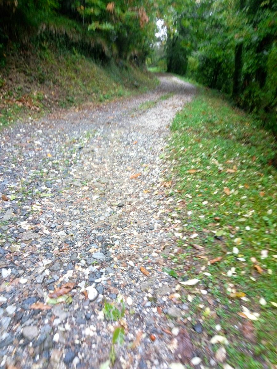 Passo del Lucese - Rifugio La Casa del Maestro - Baita Verde - Baita Barsi - foto 9