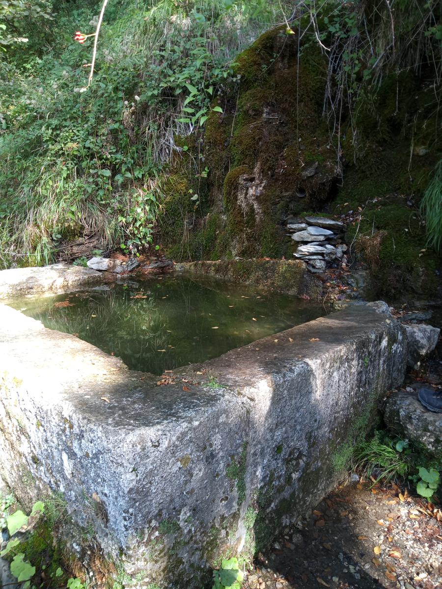 Via Ferrata del Monte Forato e Via Ferrata del Monte Procinto - FriendsInTrekking - foto 2