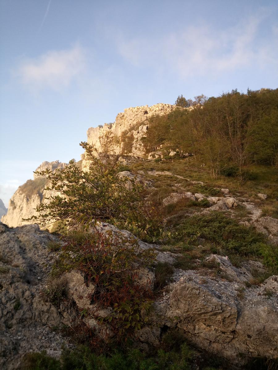 Via Ferrata del Monte Forato e Via Ferrata del Monte Procinto - FriendsInTrekking - foto 3