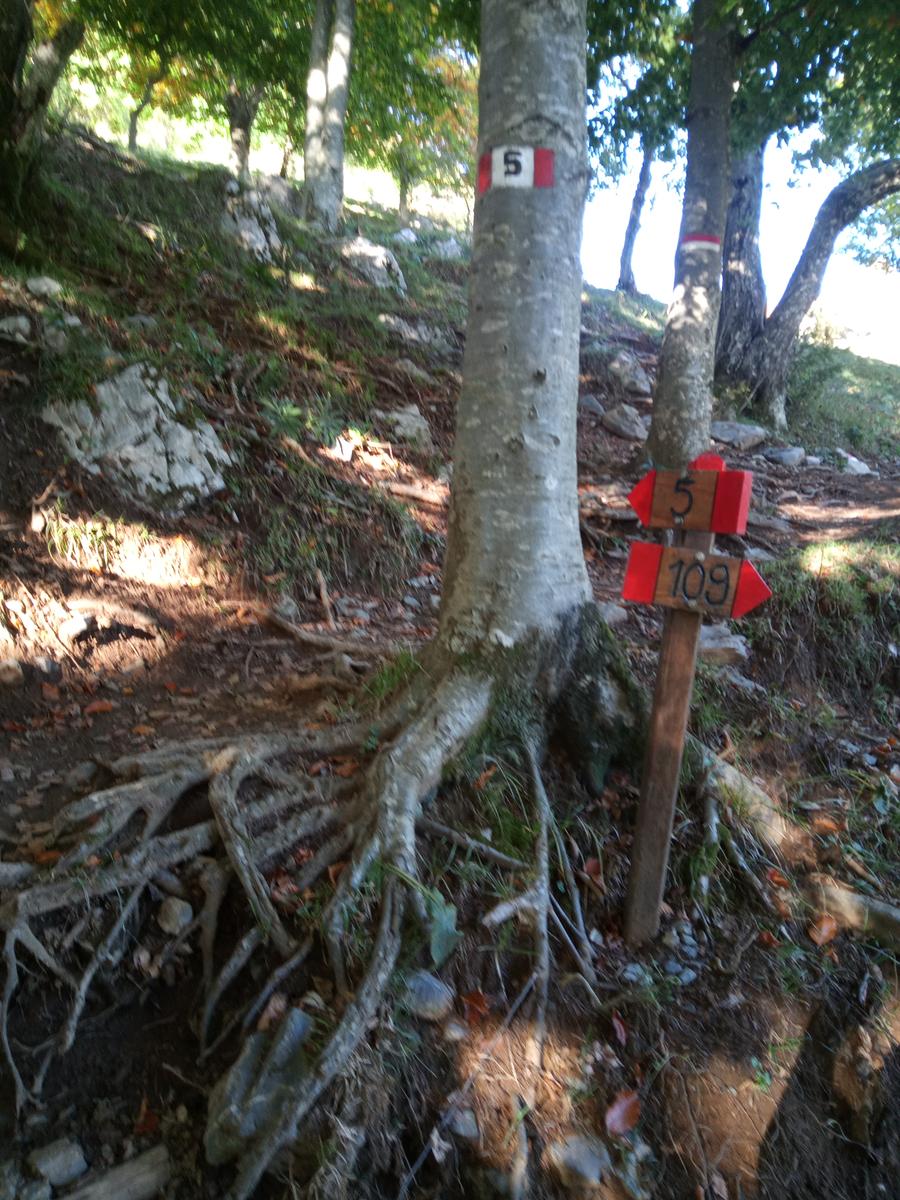 Via Ferrata del Monte Forato e Via Ferrata del Monte Procinto - FriendsInTrekking - foto 4