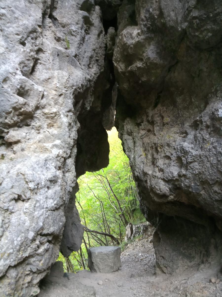 Via Ferrata del Monte Forato e Via Ferrata del Monte Procinto - FriendsInTrekking - foto 5