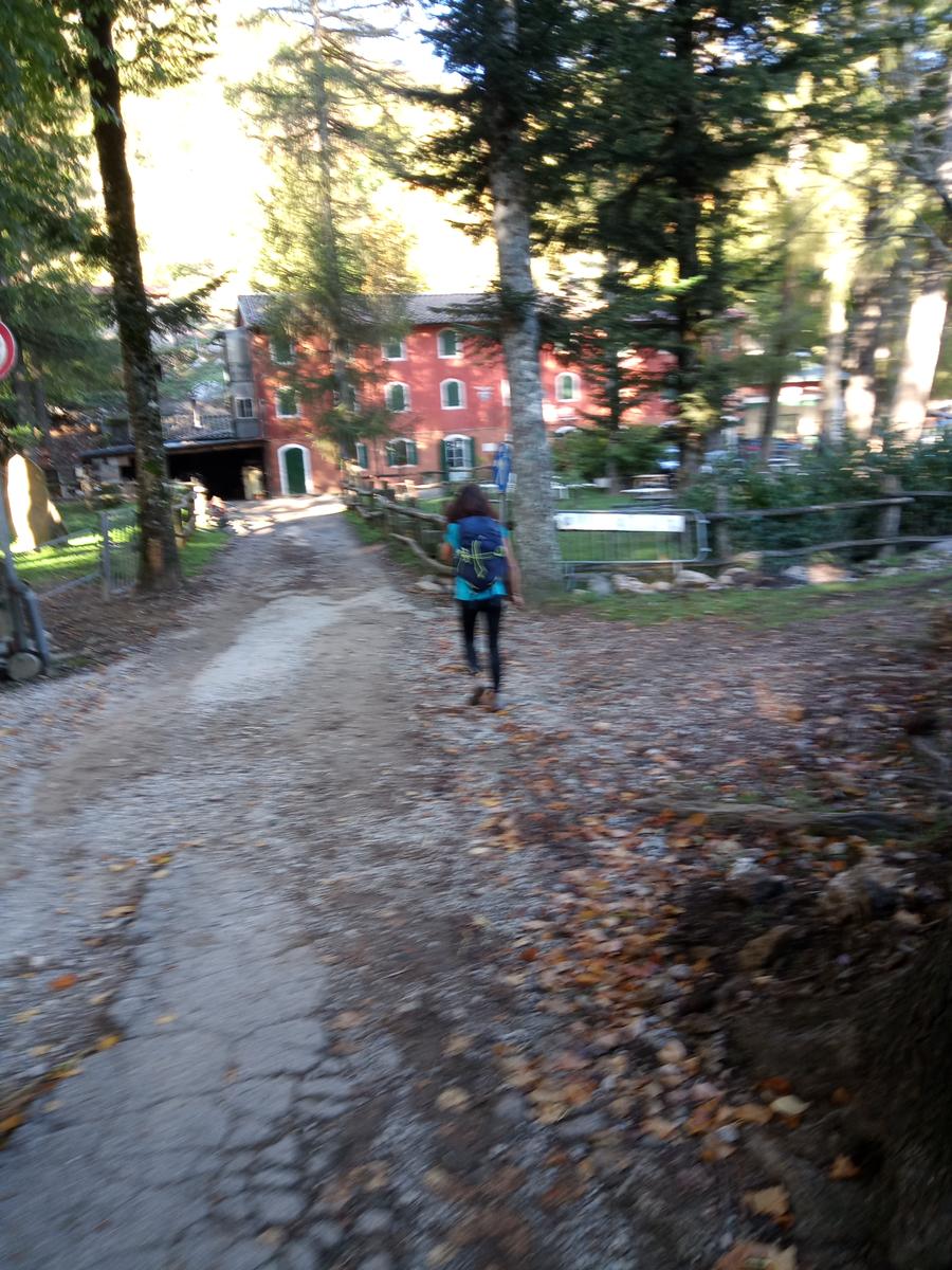 Via Ferrata del Monte Forato e Via Ferrata del Monte Procinto - FriendsInTrekking - foto 11