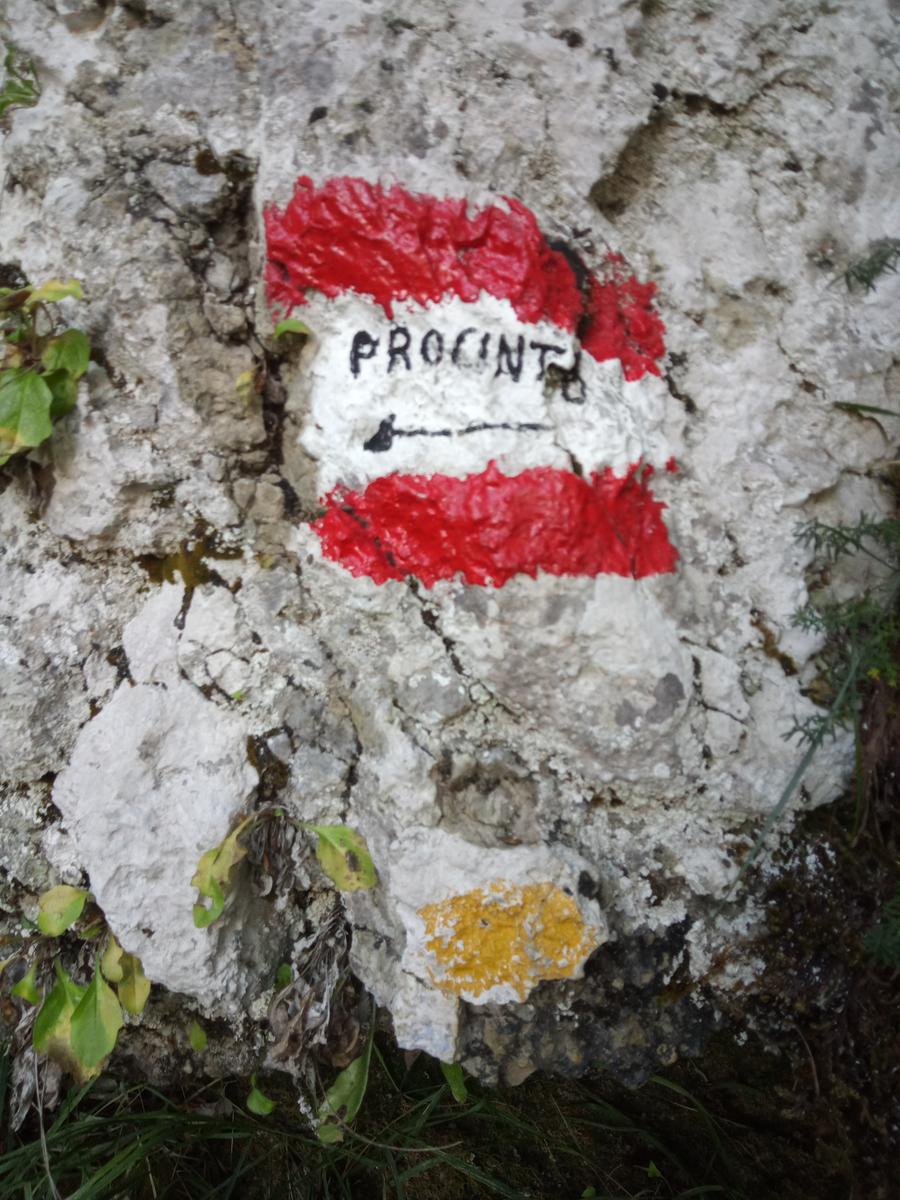 Via Ferrata del Monte Forato e Via Ferrata del Monte Procinto - FriendsInTrekking - foto 14