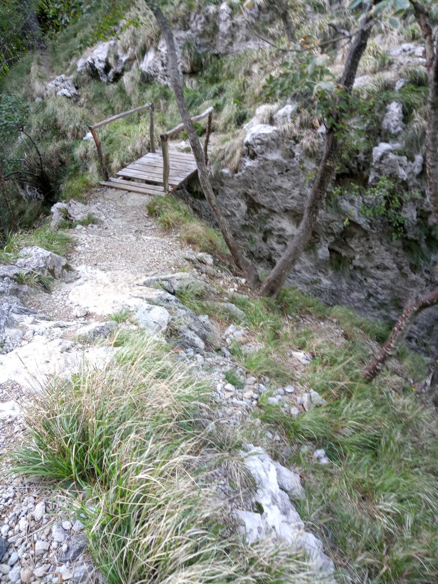 Via Ferrata del Monte Forato e Via Ferrata del Monte Procinto - FriendsInTrekking - foto 15