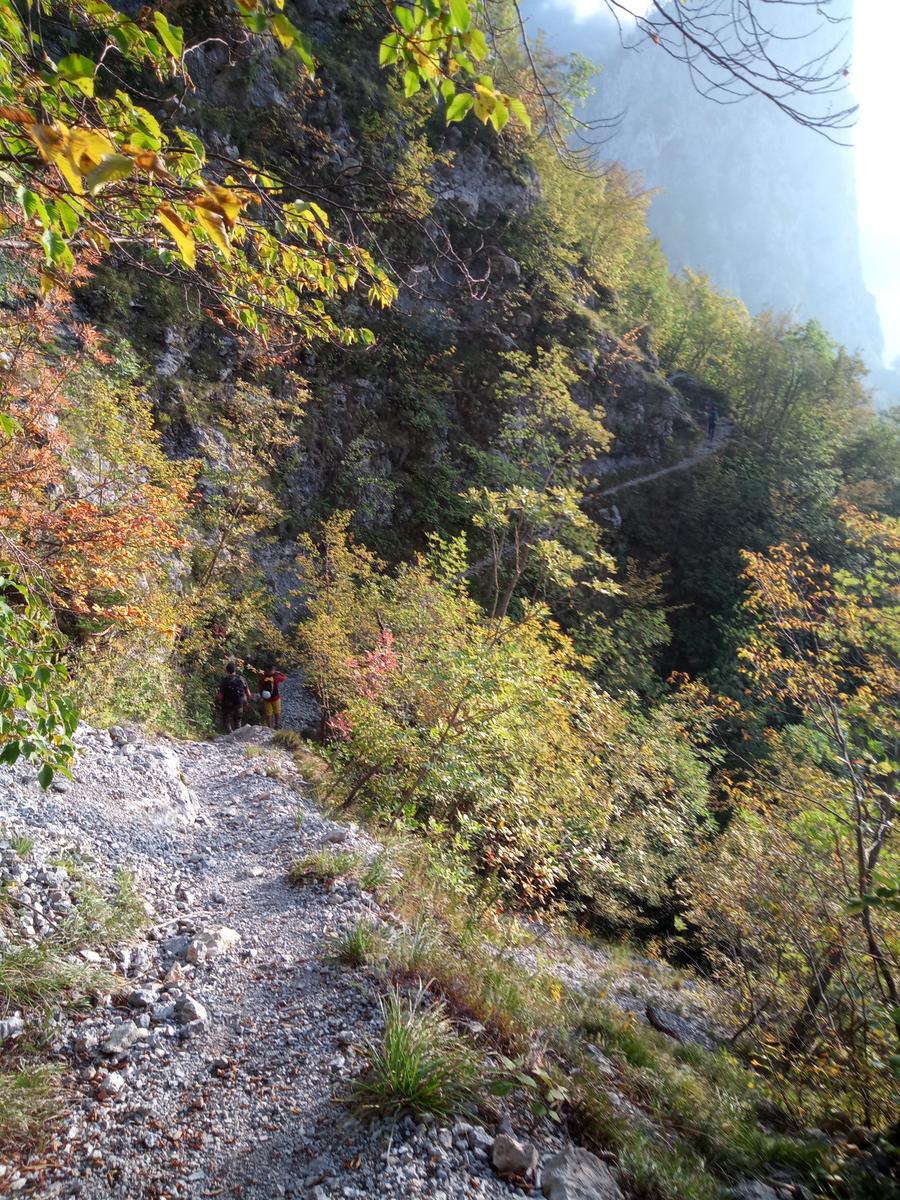 Via Ferrata del Monte Forato e Via Ferrata del Monte Procinto - FriendsInTrekking - foto 23