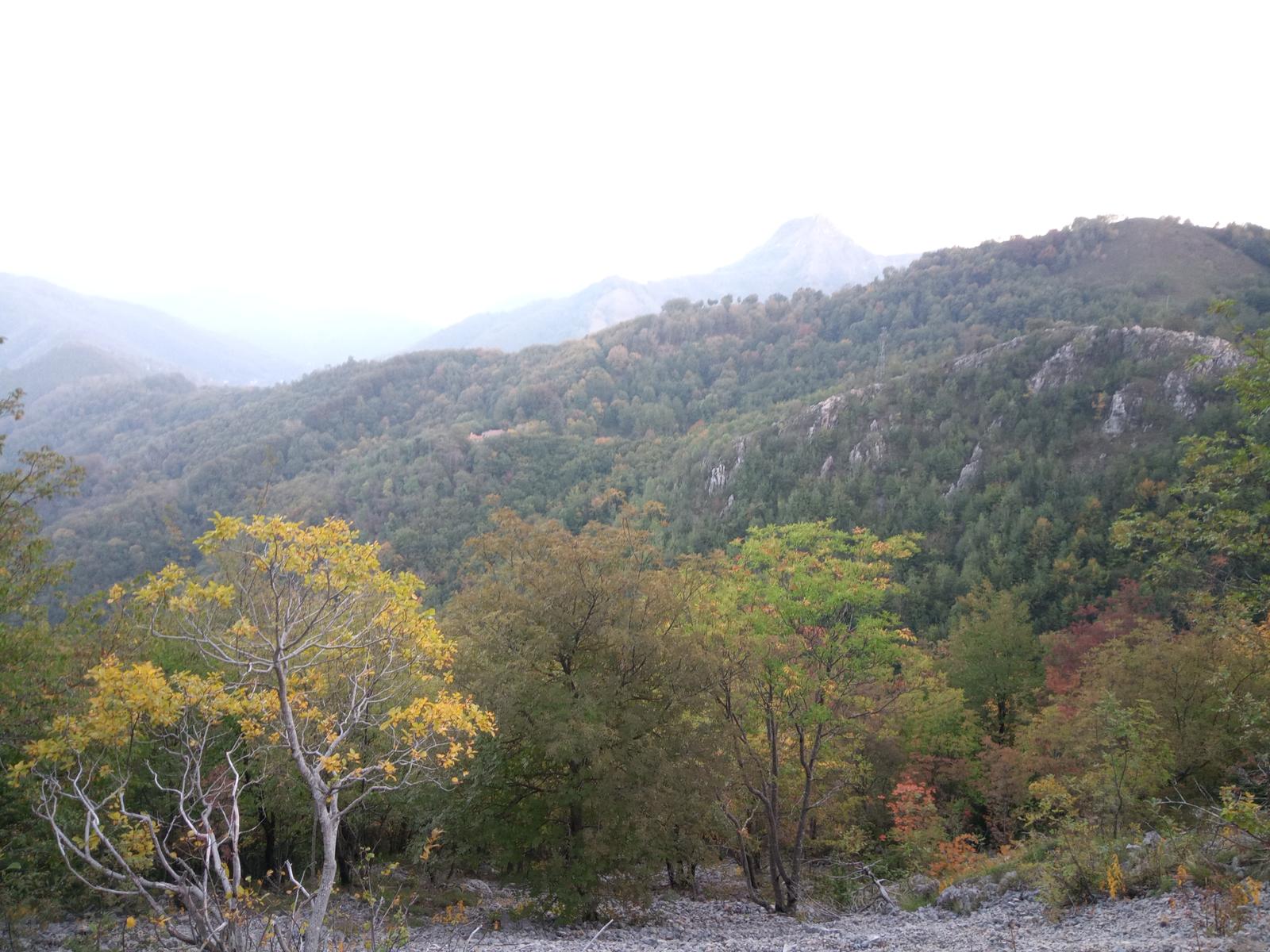 Via Ferrata del Monte Forato e Via Ferrata del Monte Procinto - FriendsInTrekking - foto 24