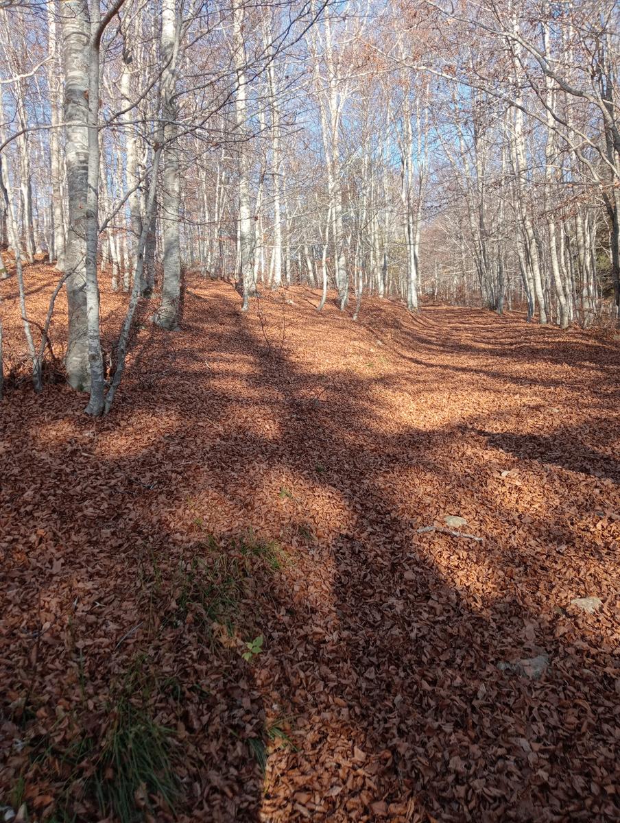Monte Prado e Lago di Bargetana - foto 15