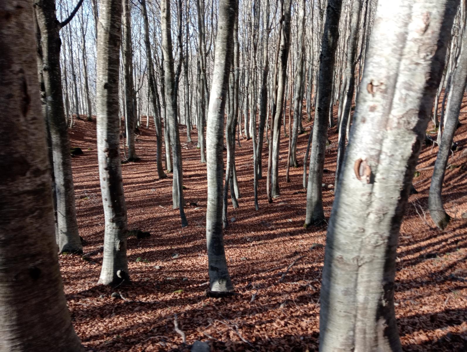 Monte Prado e Lago di Bargetana - foto 18