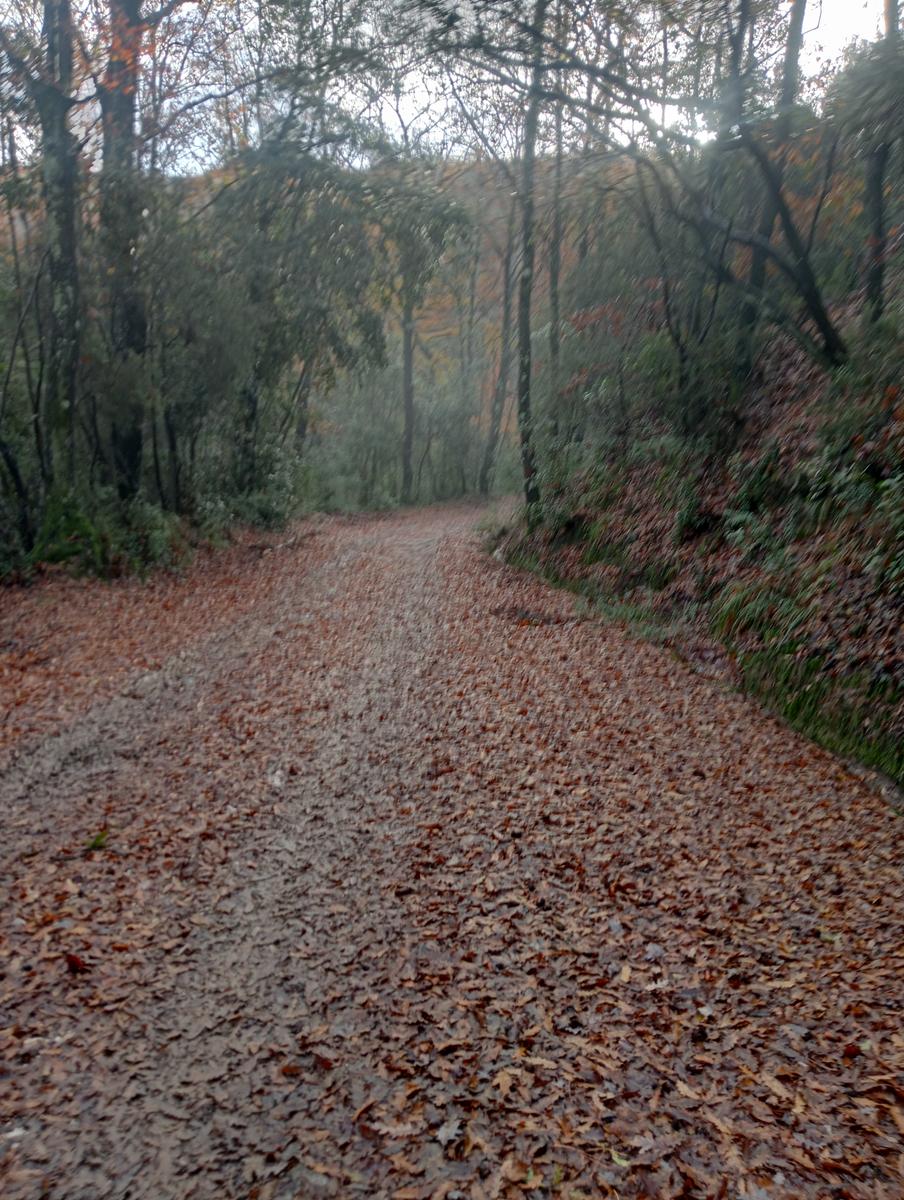 Valle Benedetta - Eremo della Sambuca - sentiero d'Achille - Acquedotto di Colognole - foto 5