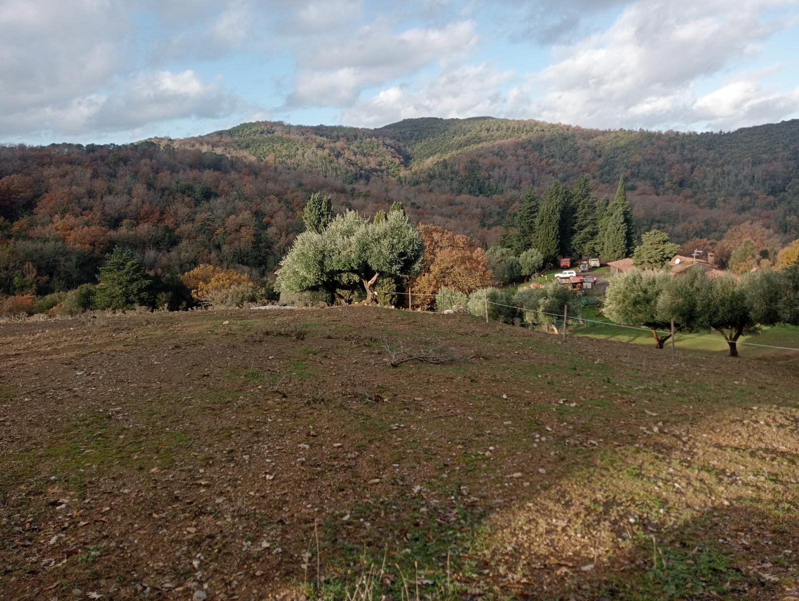 Valle Benedetta - Eremo della Sambuca - sentiero d'Achille - Acquedotto di Colognole - foto 10