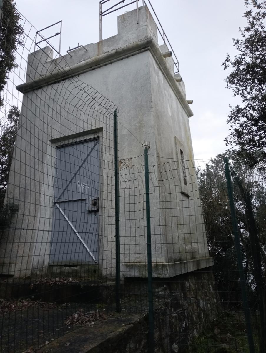 Populonia - La via del ferro - Sentiero dei Cavalleggeri - foto 2