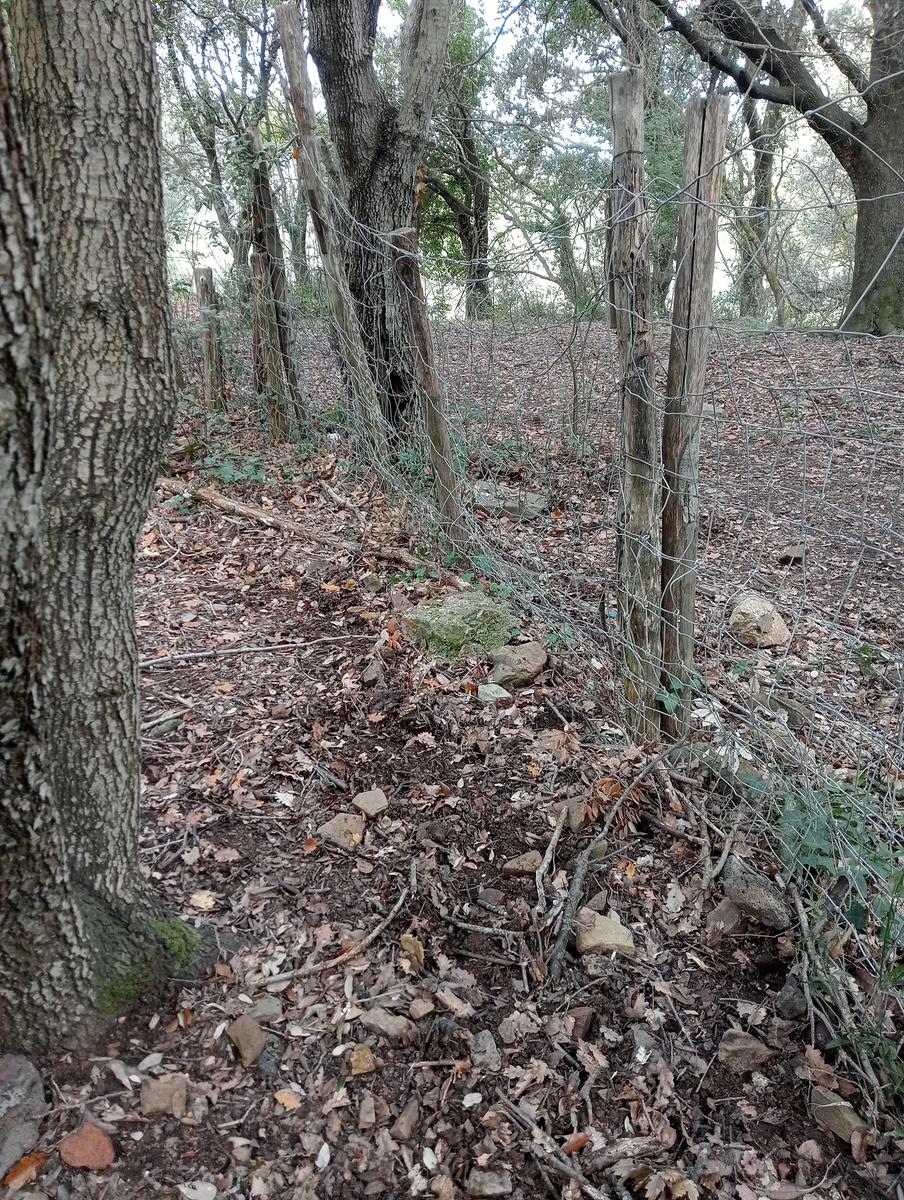 Populonia - La via del ferro - Sentiero dei Cavalleggeri - foto 4