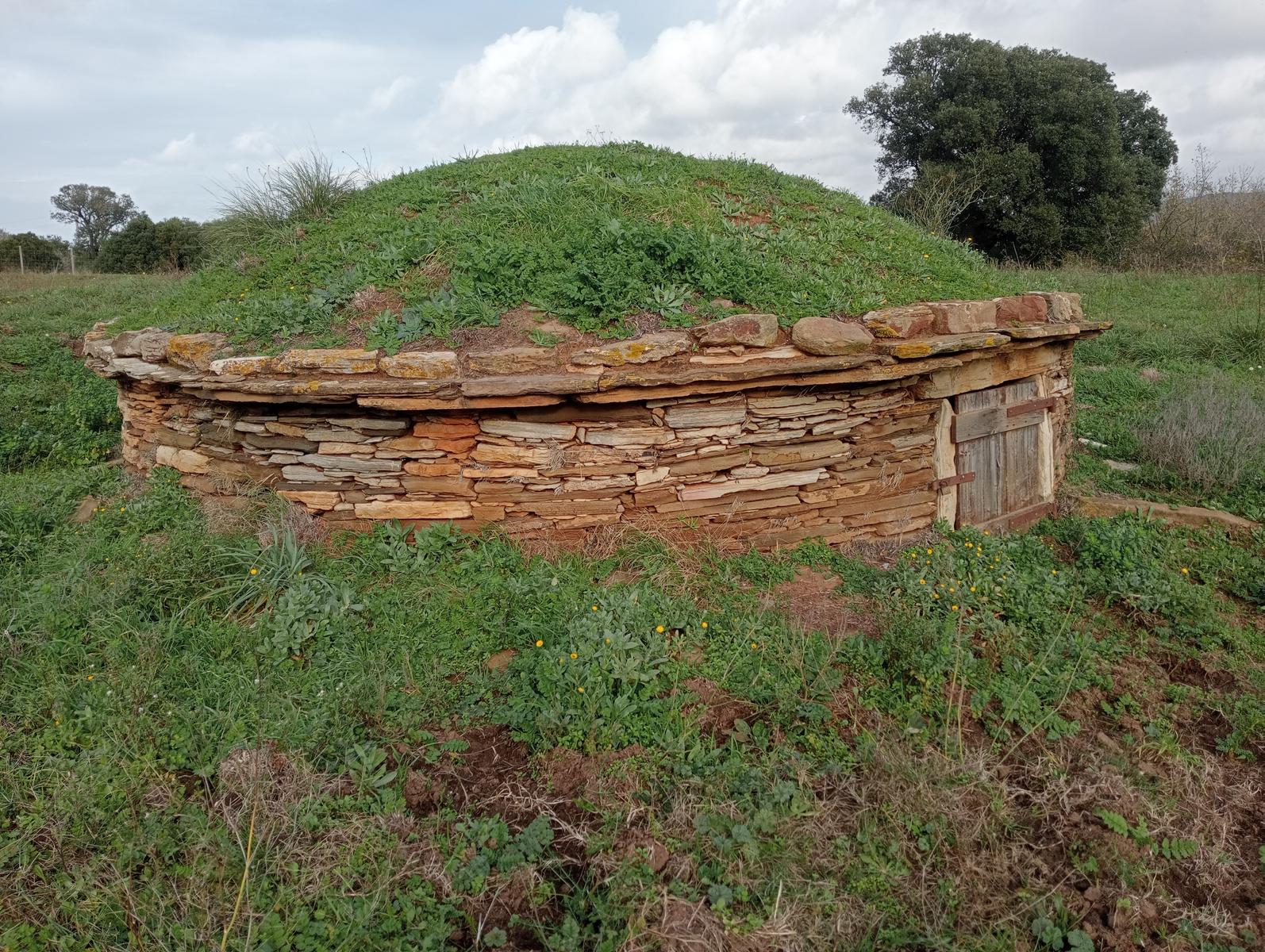 Populonia - La via del ferro - Sentiero dei Cavalleggeri - foto 5