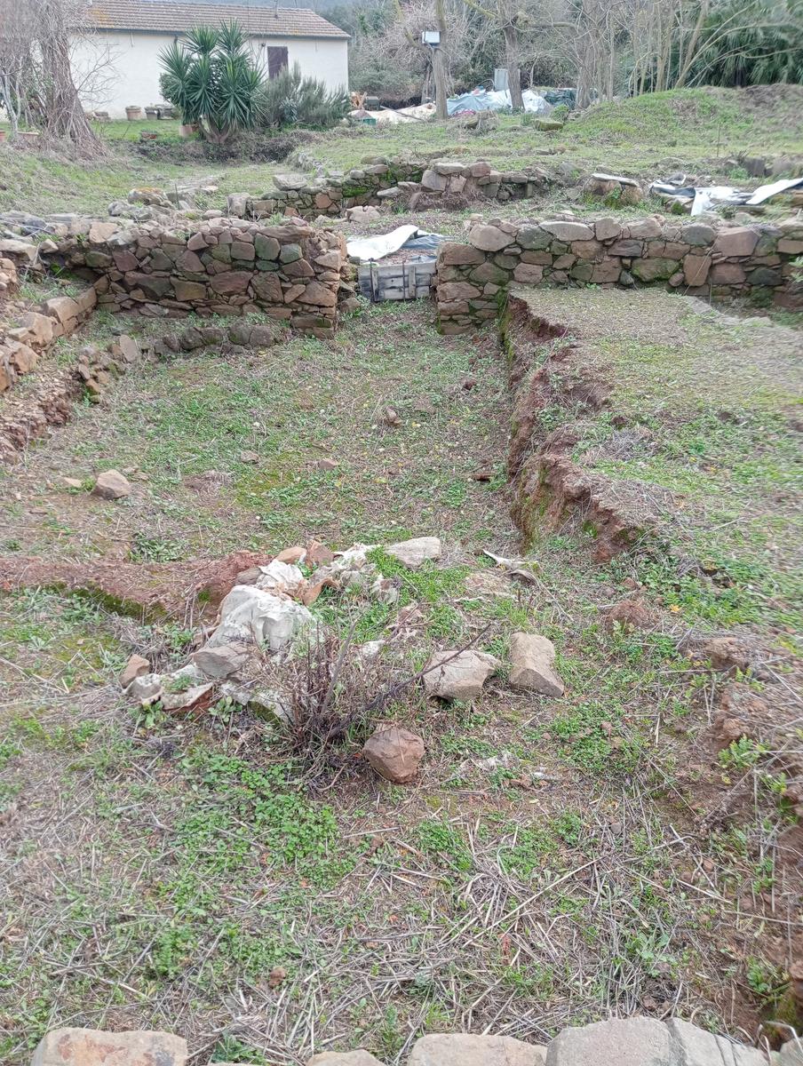 Populonia - La via del ferro - Sentiero dei Cavalleggeri - foto 6