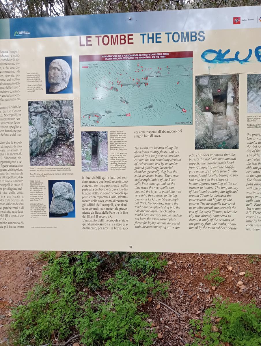 Populonia - La via del ferro - Sentiero dei Cavalleggeri - foto 10