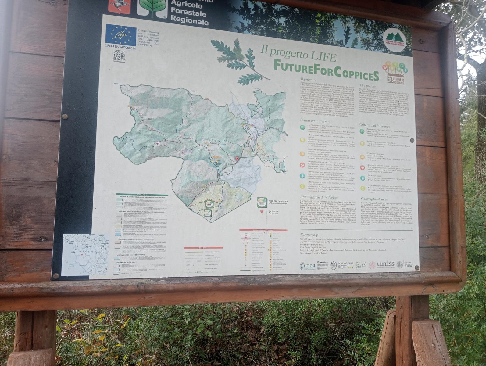 Parco Caselli - Cascata Caselli