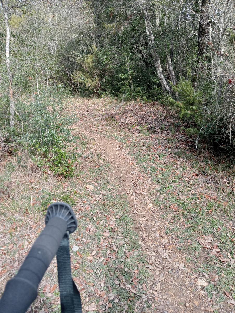 Parco Caselli - Cascata Caselli - foto 2