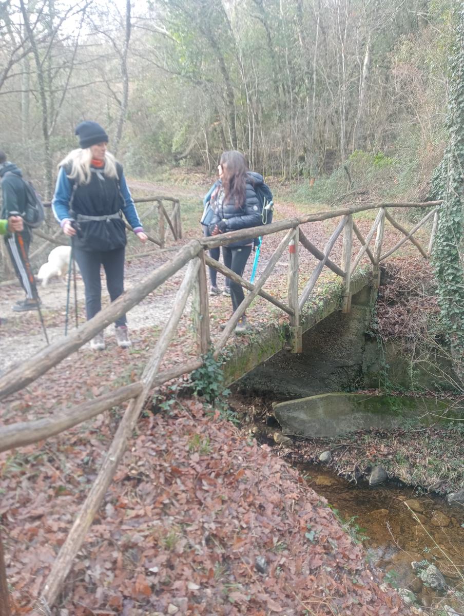 Parco Caselli - Cascata Caselli - foto 3