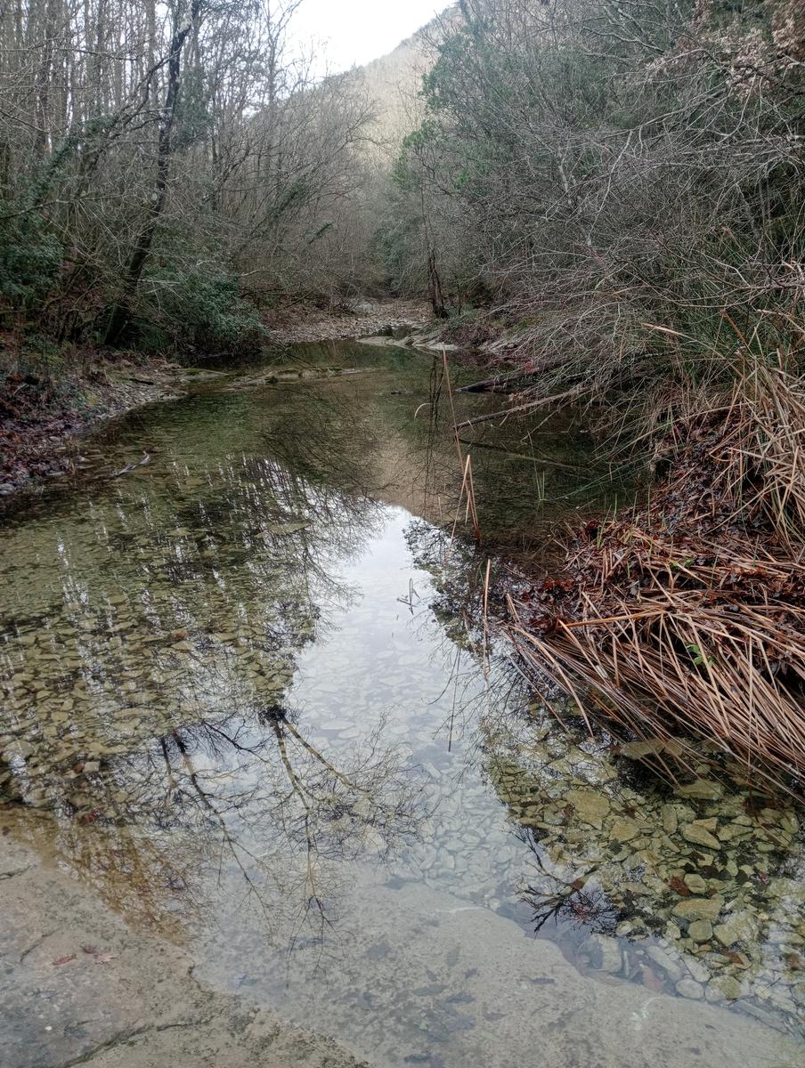 Parco Caselli - Cascata Caselli - foto 4