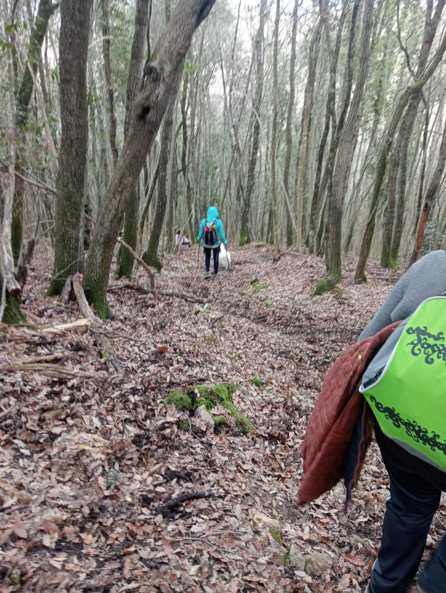 Parco Caselli - Cascata Caselli - foto 5