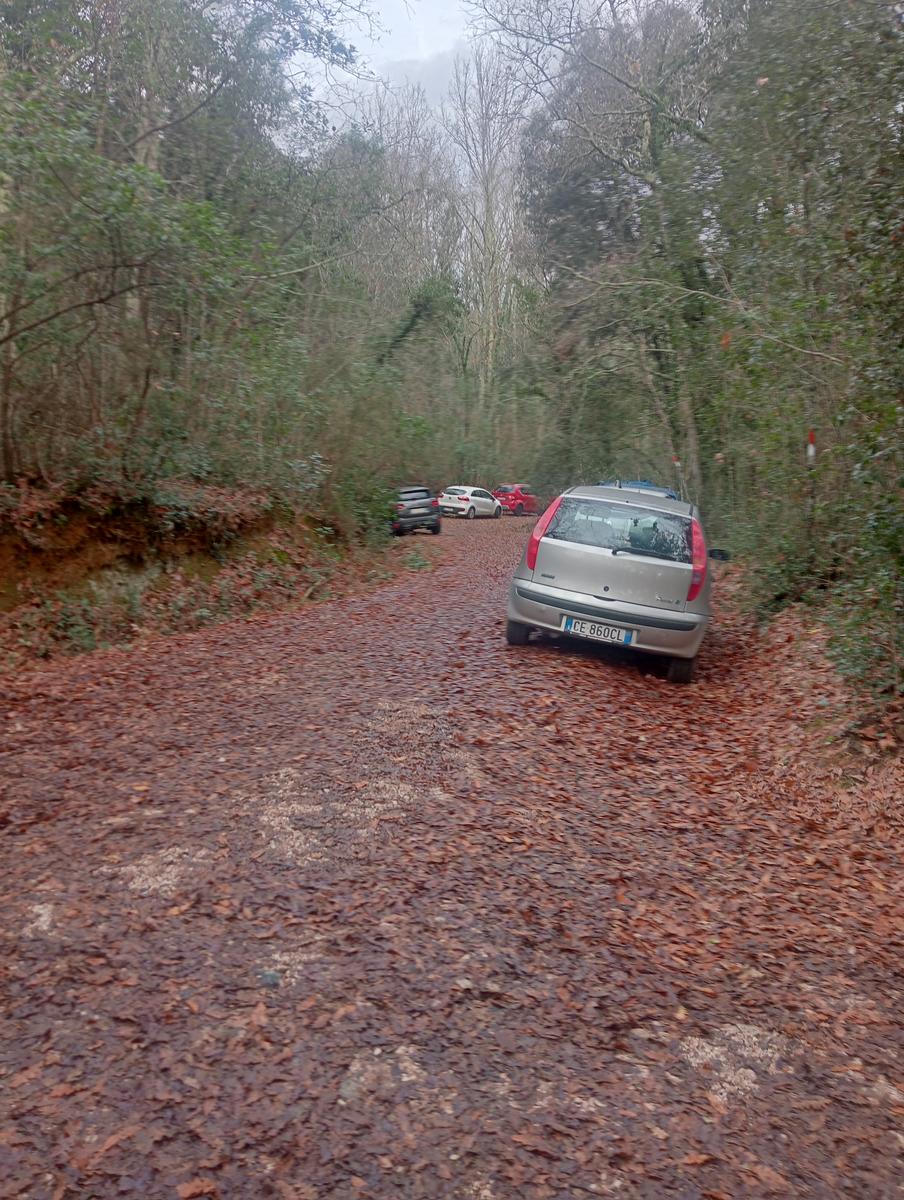 Parco Caselli - Cascata Caselli - foto 8