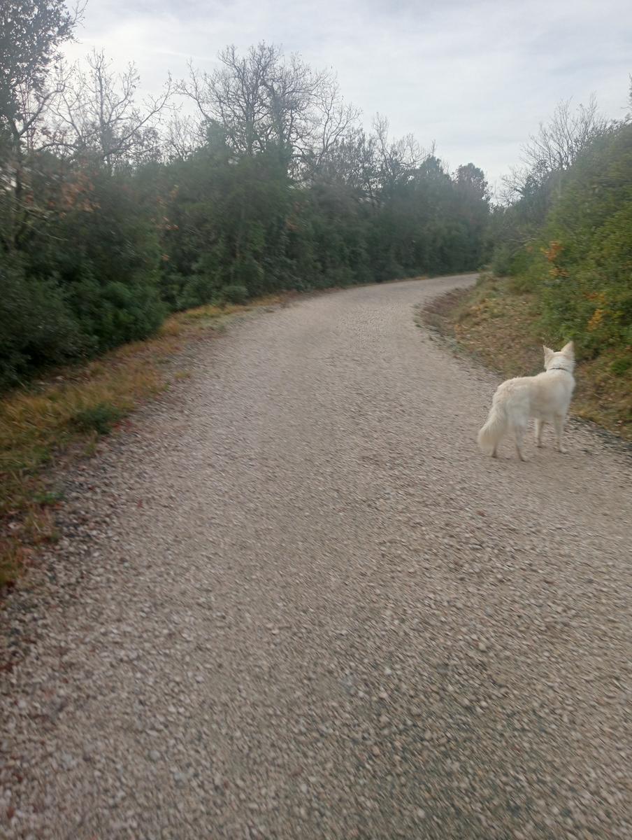 Parco Caselli - Cascata Caselli - foto 10