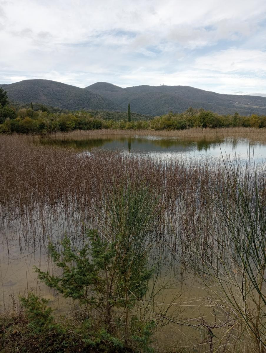 Parco Caselli - Cascata Caselli - foto 14