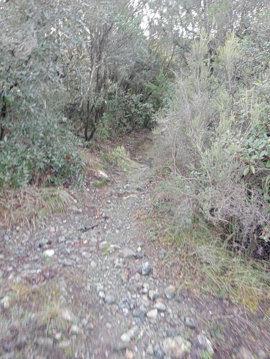 Cascatelle dell'infernaccio - Poggio corbolone - Villa Cristina - foto 5