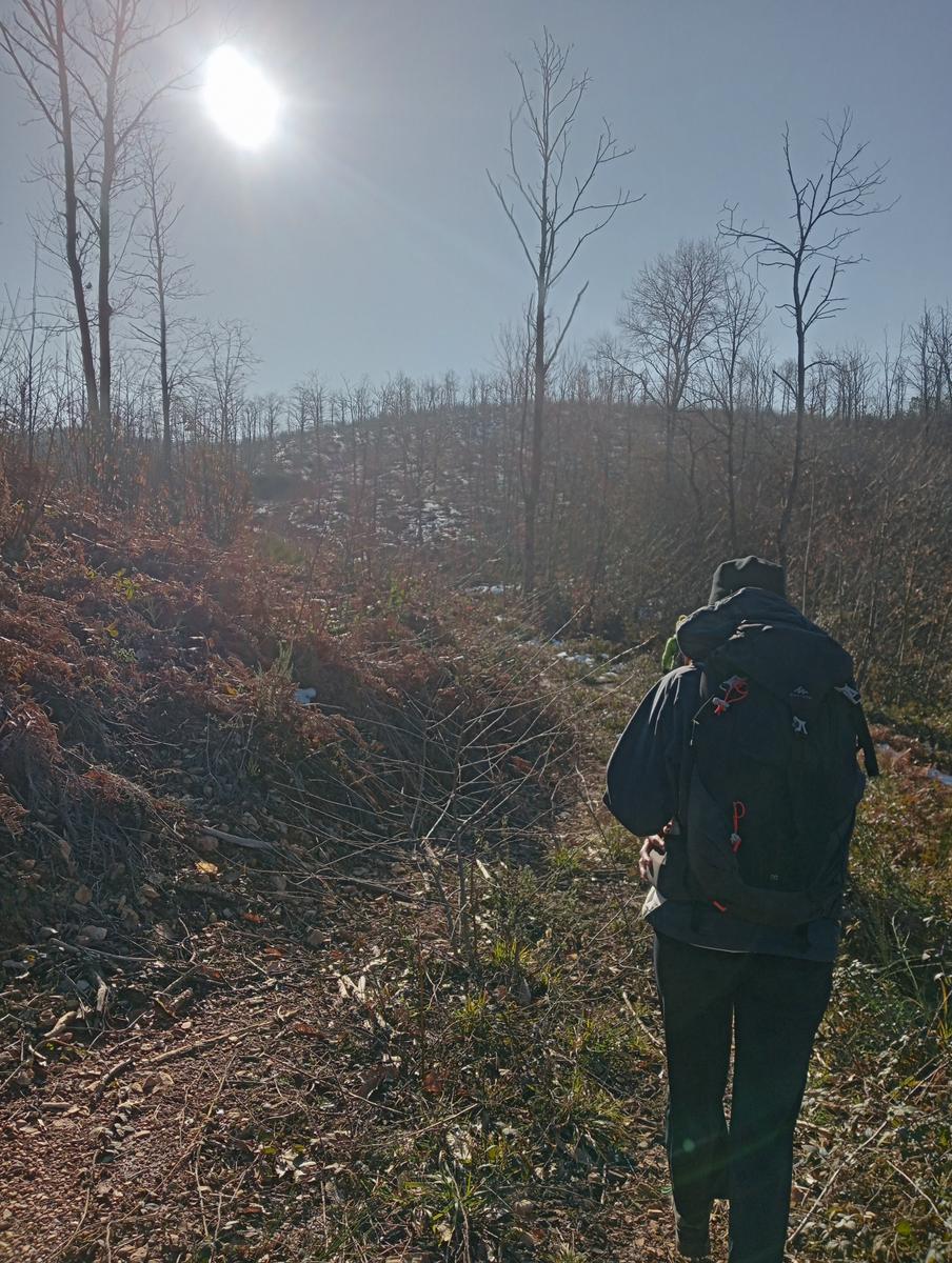 Sasso Pisano - Fumarole - Anello con Friends in trekking