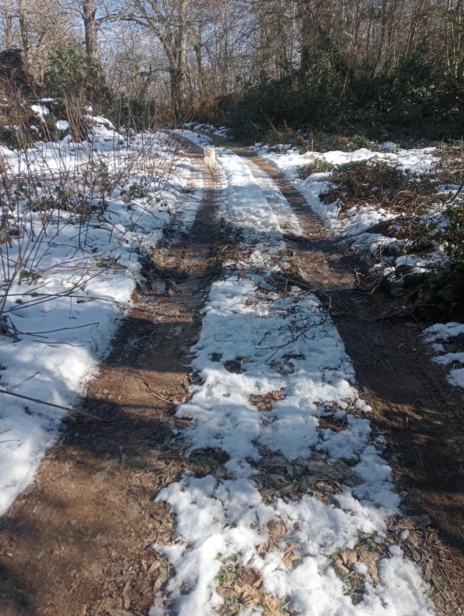 Sasso Pisano - Fumarole - Anello con Friends in trekking - foto 3