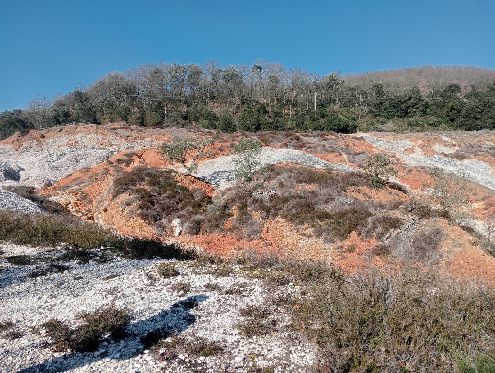 Sasso Pisano - Fumarole - Anello con Friends in trekking - foto 8