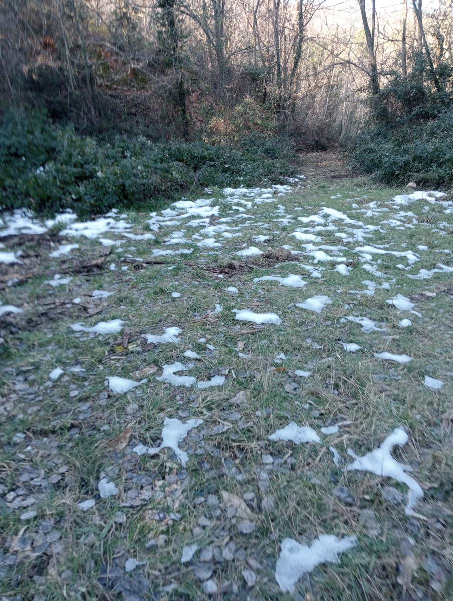 Sasso Pisano - Fumarole - Anello con Friends in trekking - foto 17